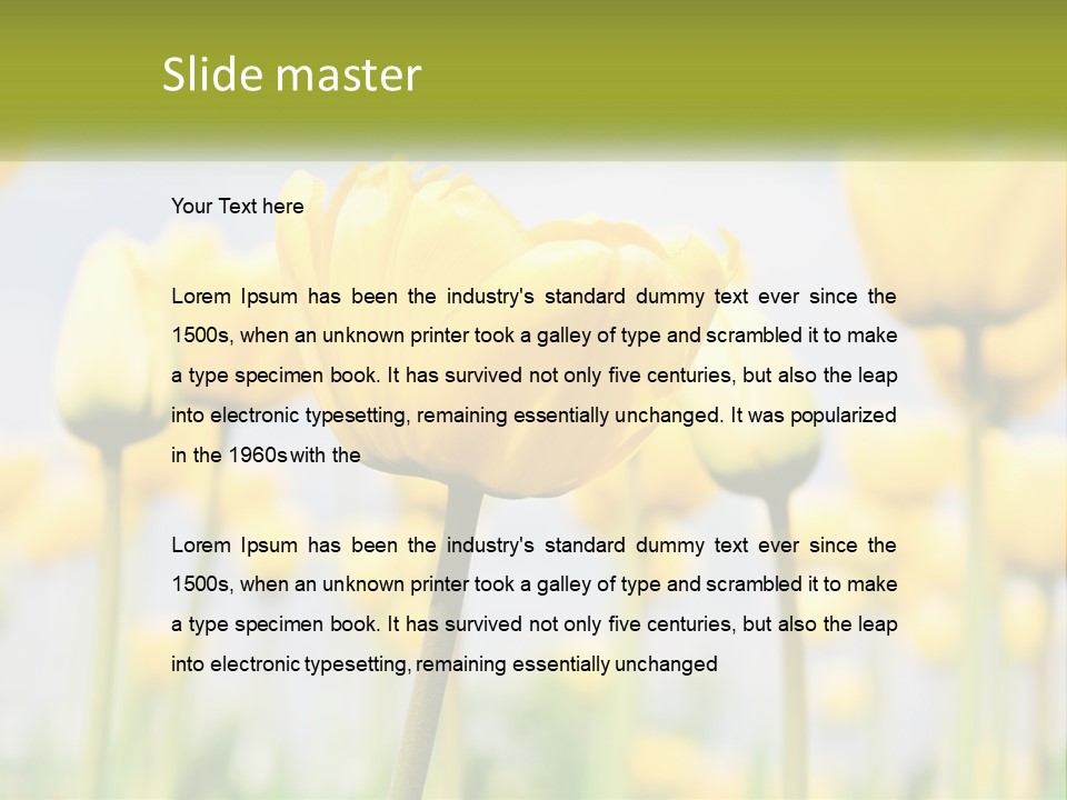 Wellness Senior Sunrise PowerPoint Template