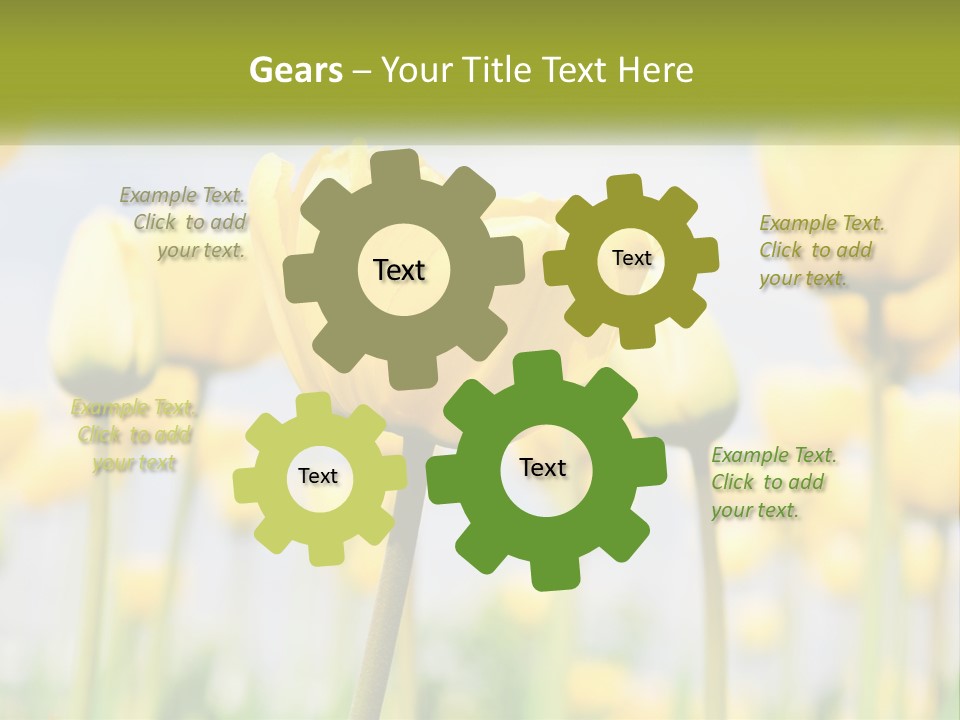 Wellness Senior Sunrise PowerPoint Template