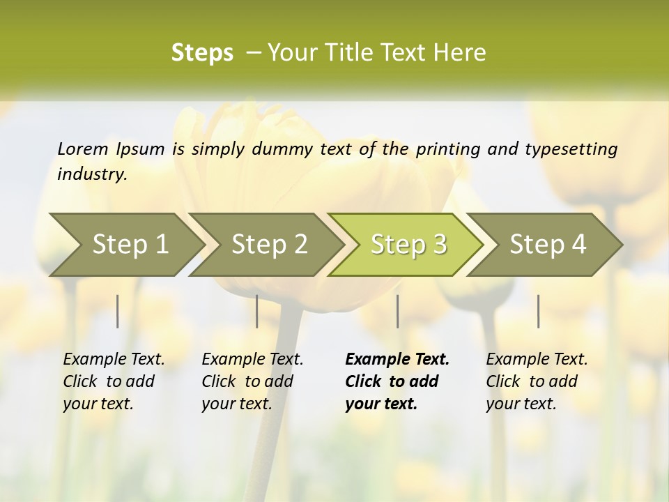 Wellness Senior Sunrise PowerPoint Template