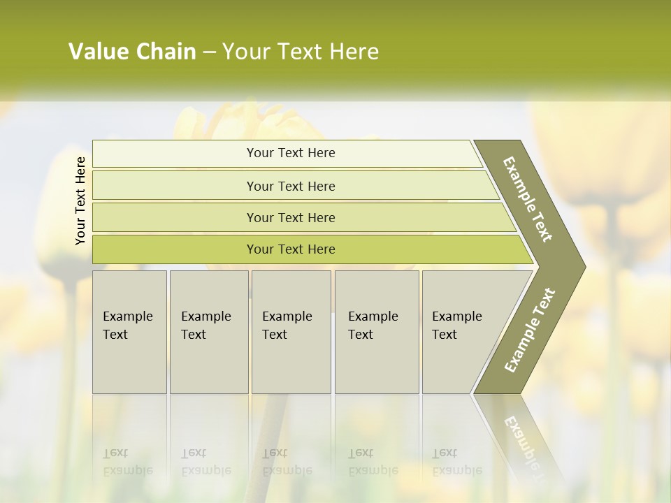 Wellness Senior Sunrise PowerPoint Template