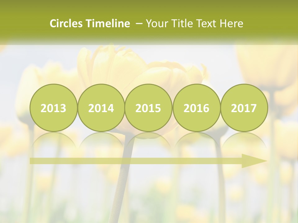 Wellness Senior Sunrise PowerPoint Template