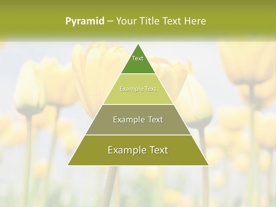 Wellness Senior Sunrise PowerPoint Template