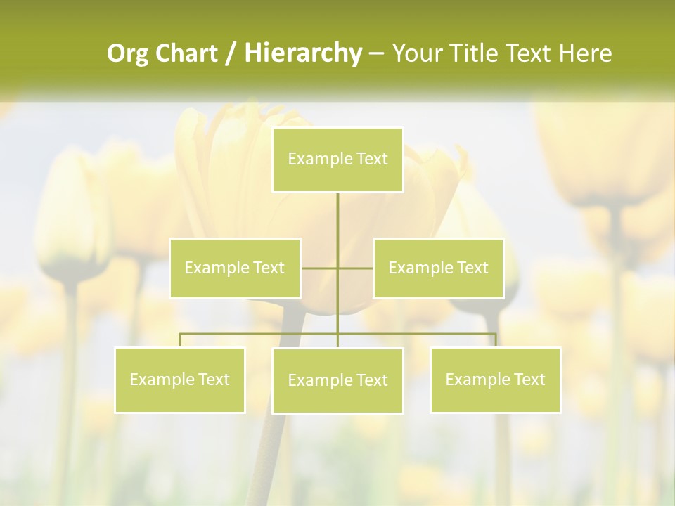 Wellness Senior Sunrise PowerPoint Template
