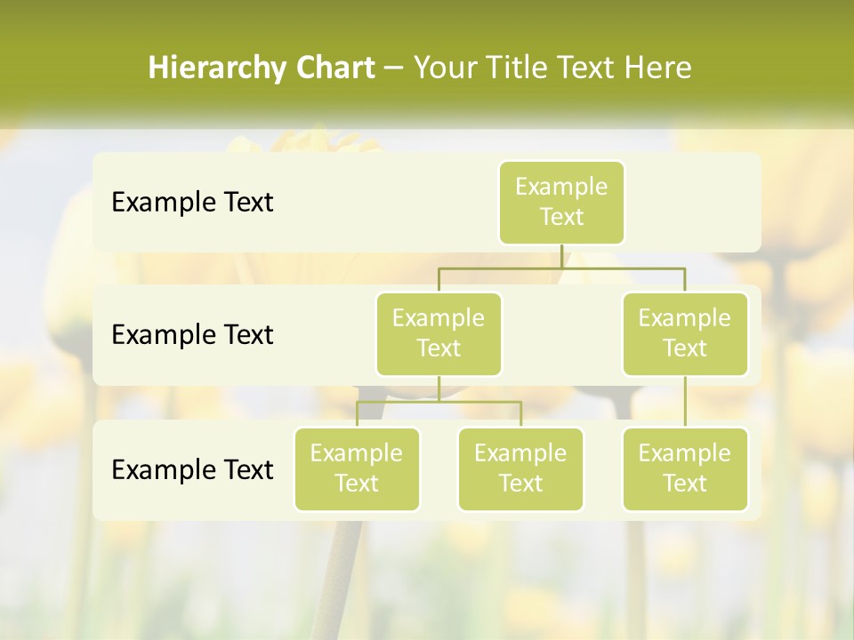 Wellness Senior Sunrise PowerPoint Template