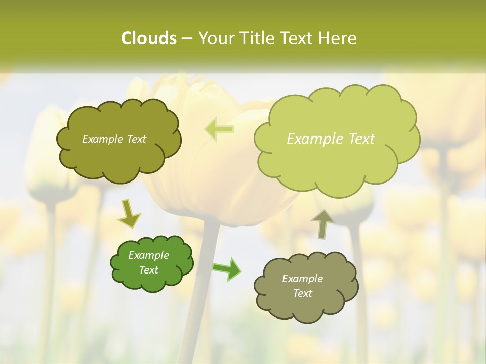 Wellness Senior Sunrise PowerPoint Template