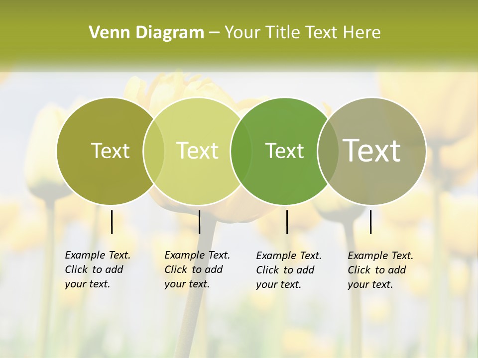 Wellness Senior Sunrise PowerPoint Template