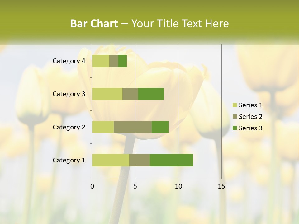 Wellness Senior Sunrise PowerPoint Template