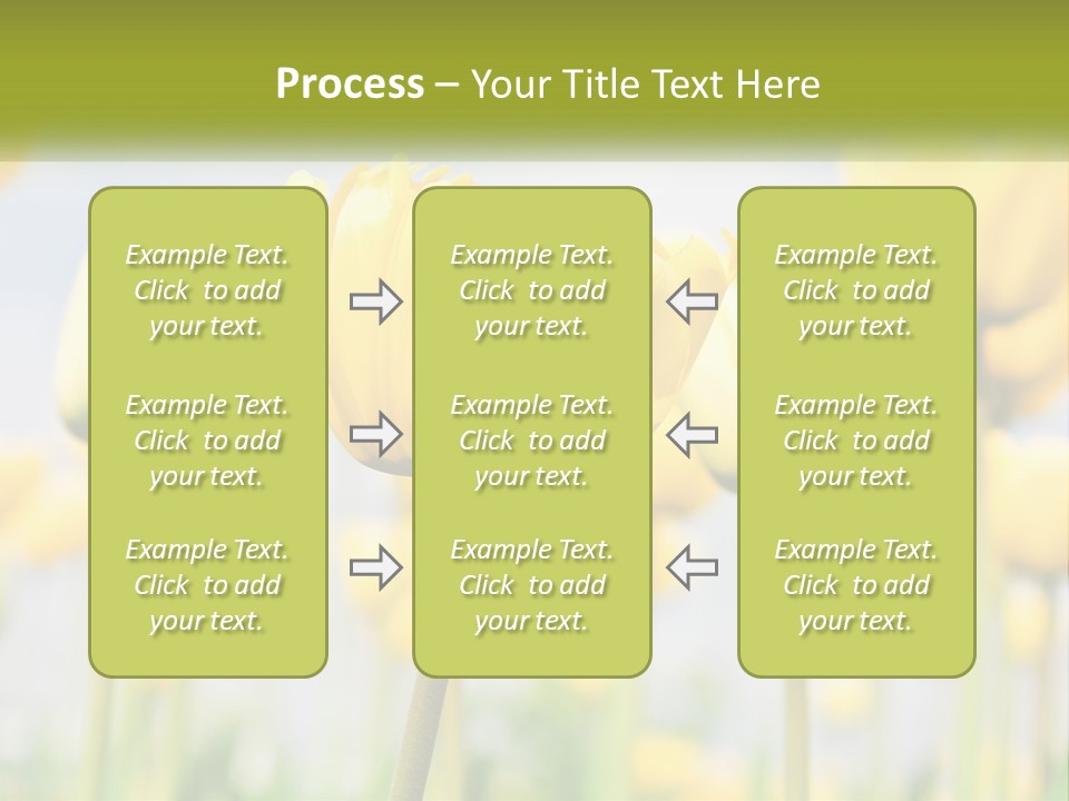 Wellness Senior Sunrise PowerPoint Template