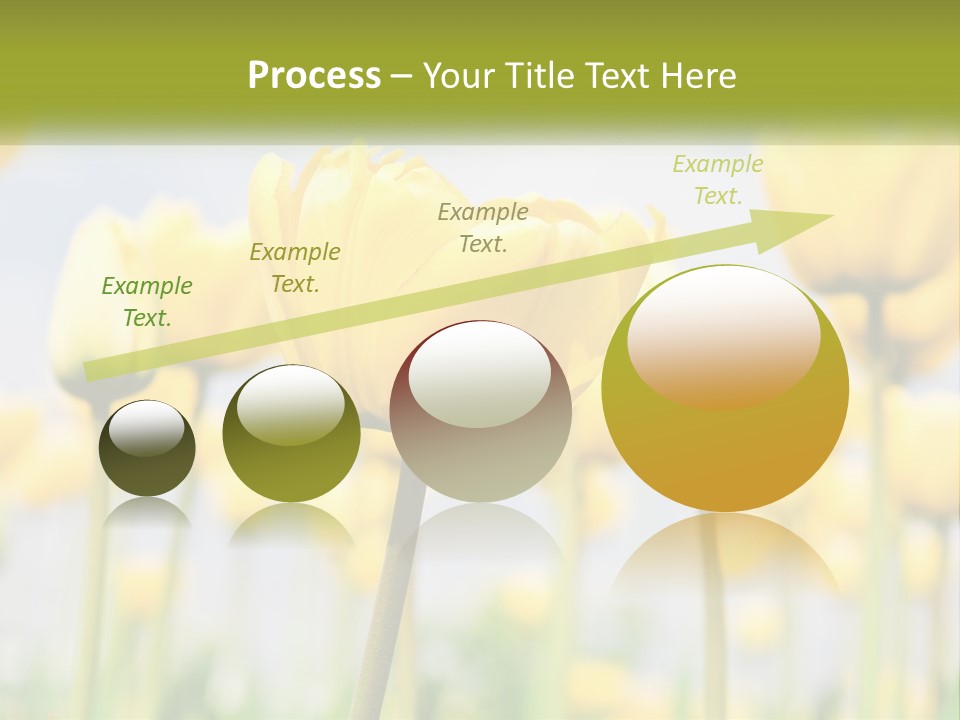 Wellness Senior Sunrise PowerPoint Template
