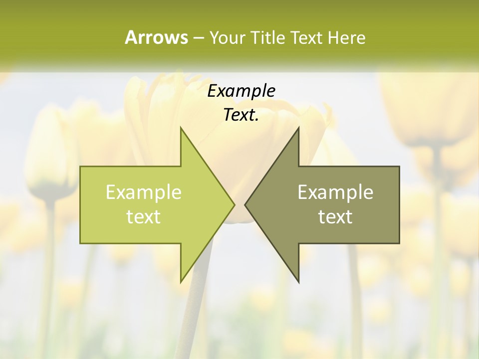 Wellness Senior Sunrise PowerPoint Template