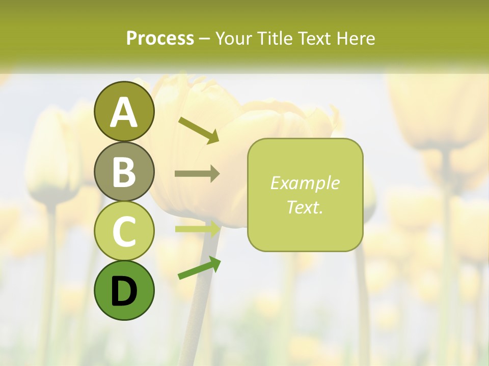 Wellness Senior Sunrise PowerPoint Template