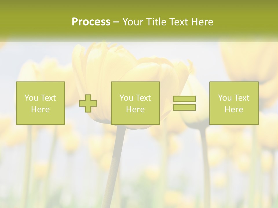 Wellness Senior Sunrise PowerPoint Template