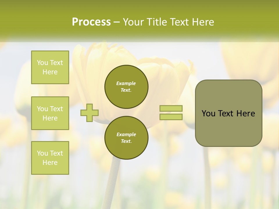 Wellness Senior Sunrise PowerPoint Template