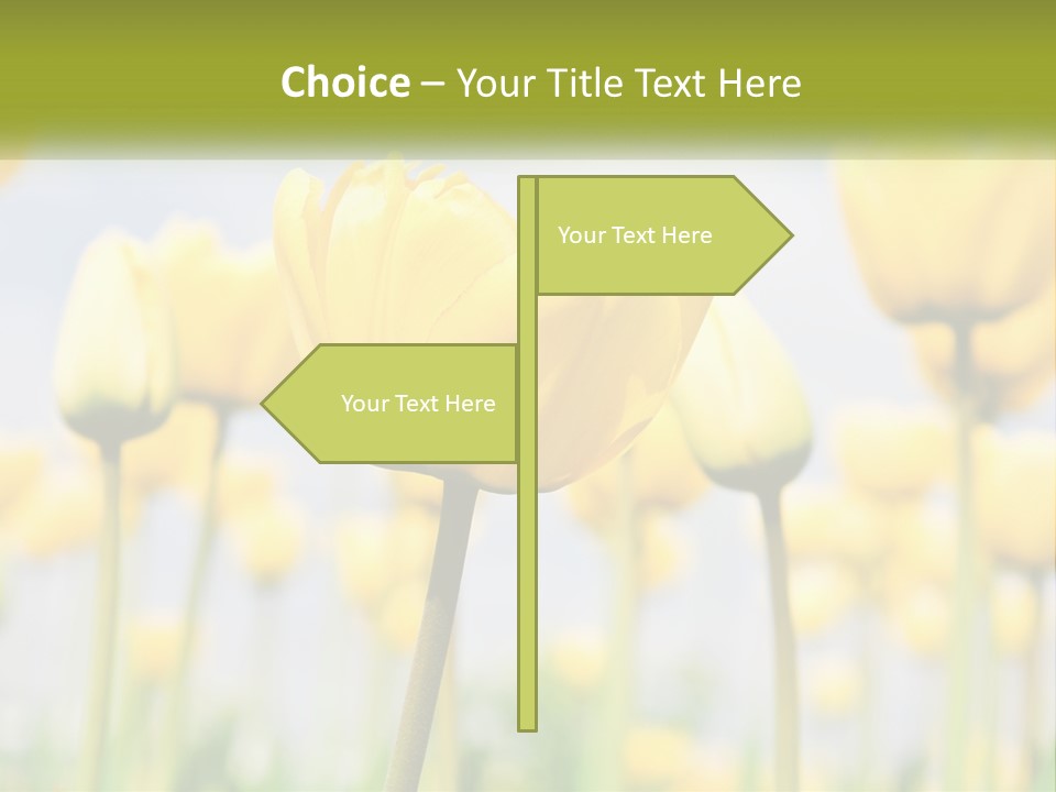 Wellness Senior Sunrise PowerPoint Template