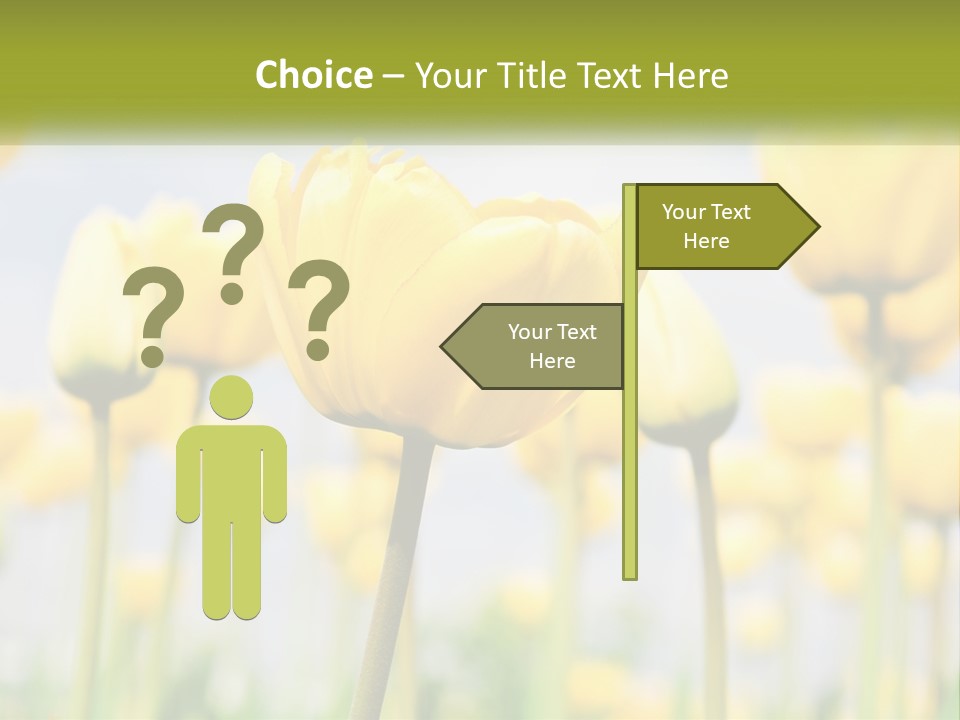 Wellness Senior Sunrise PowerPoint Template