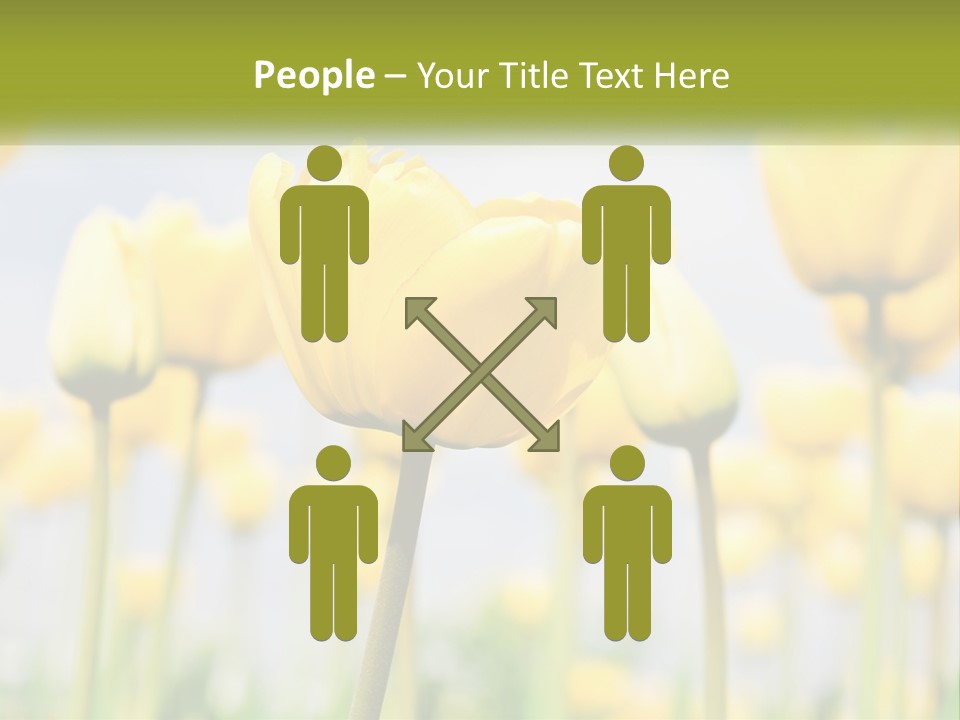 Wellness Senior Sunrise PowerPoint Template