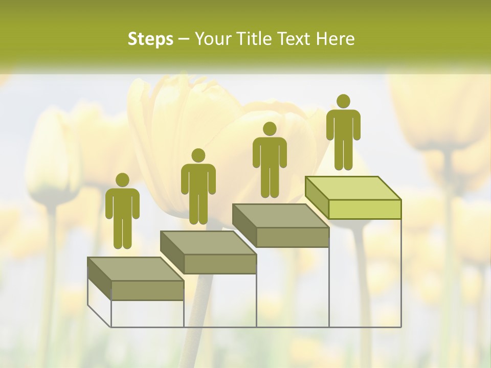 Wellness Senior Sunrise PowerPoint Template