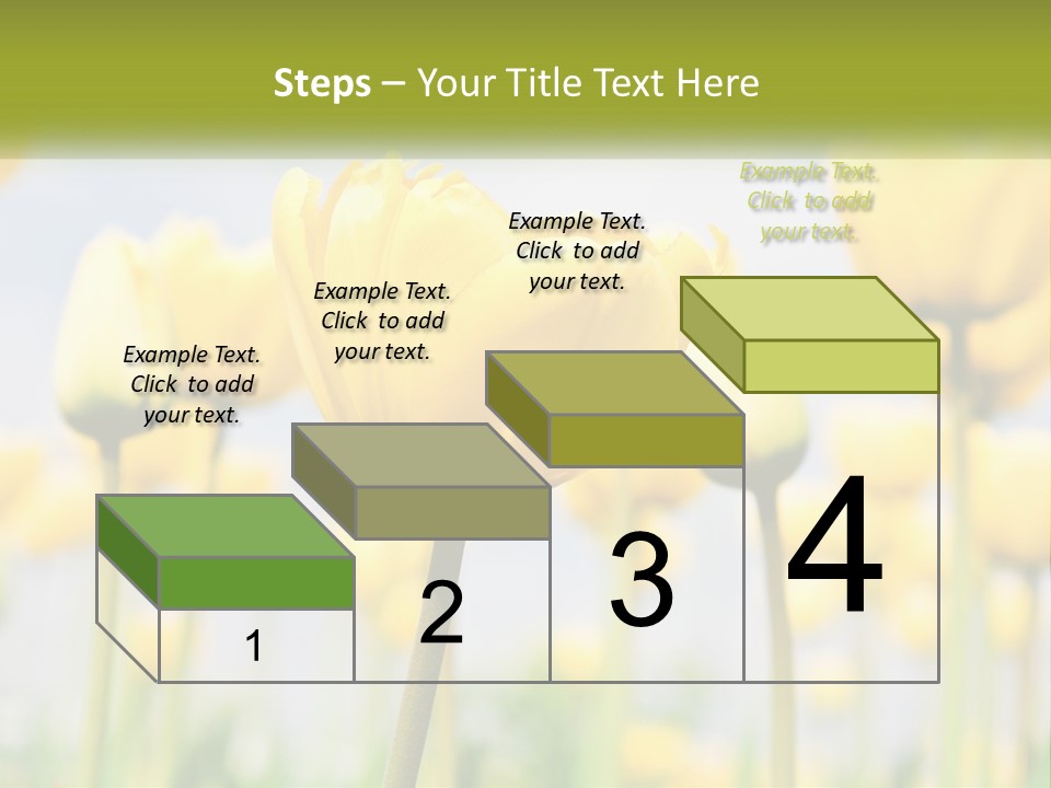 Wellness Senior Sunrise PowerPoint Template