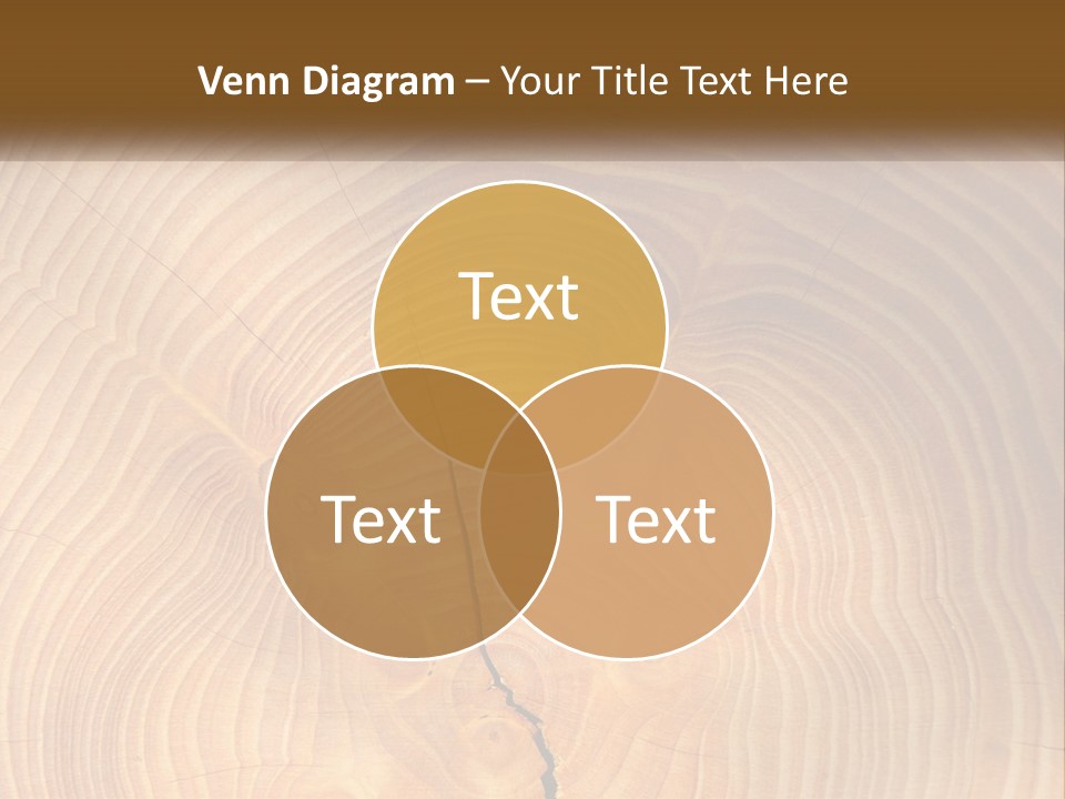 Sunrise Woman Standing PowerPoint Template