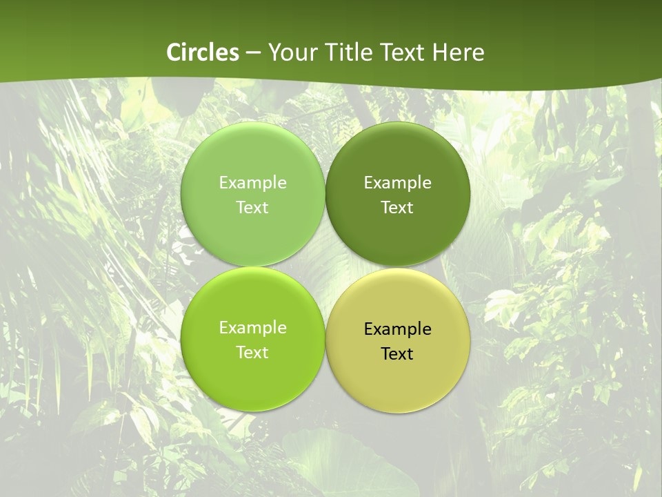 Retirement Ocean Mother PowerPoint Template