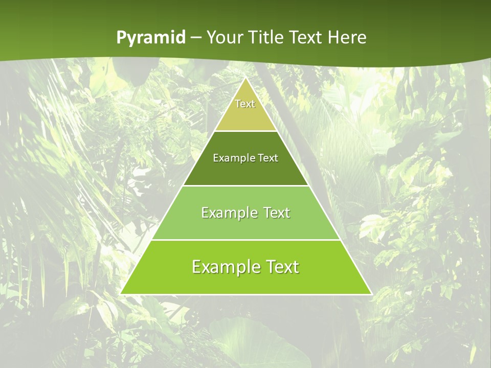 Retirement Ocean Mother PowerPoint Template