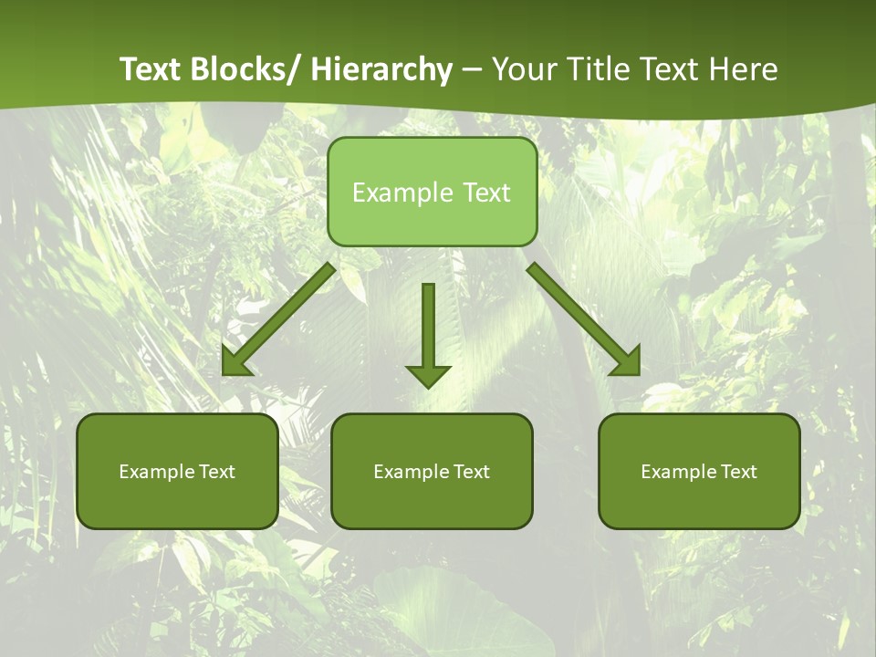 Retirement Ocean Mother PowerPoint Template