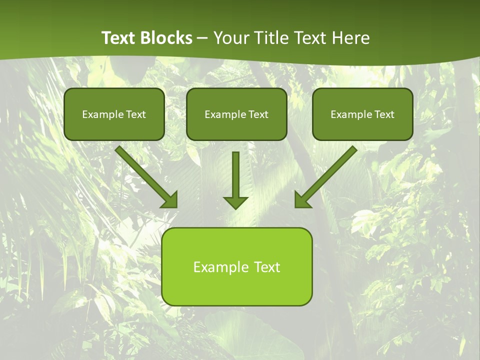 Retirement Ocean Mother PowerPoint Template