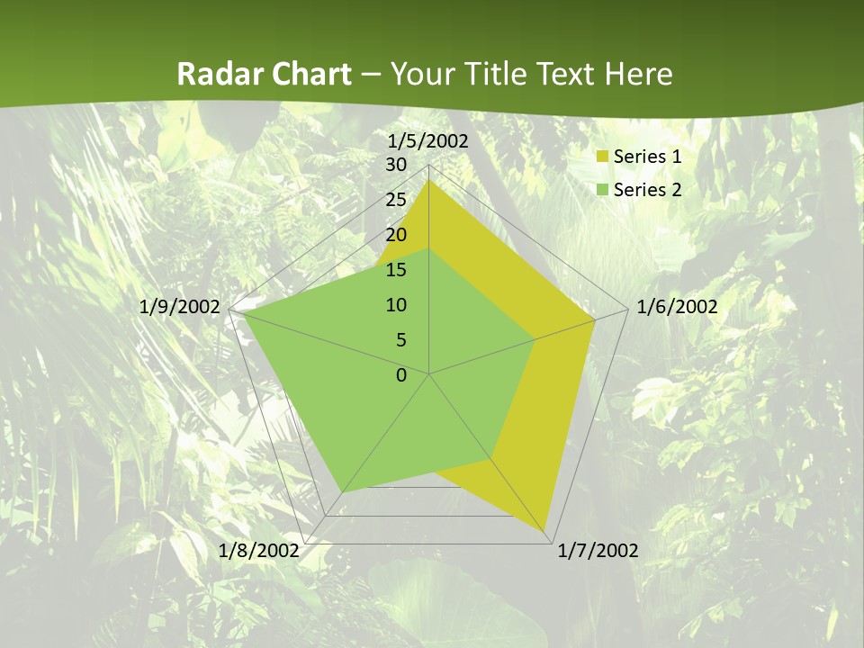 Retirement Ocean Mother PowerPoint Template