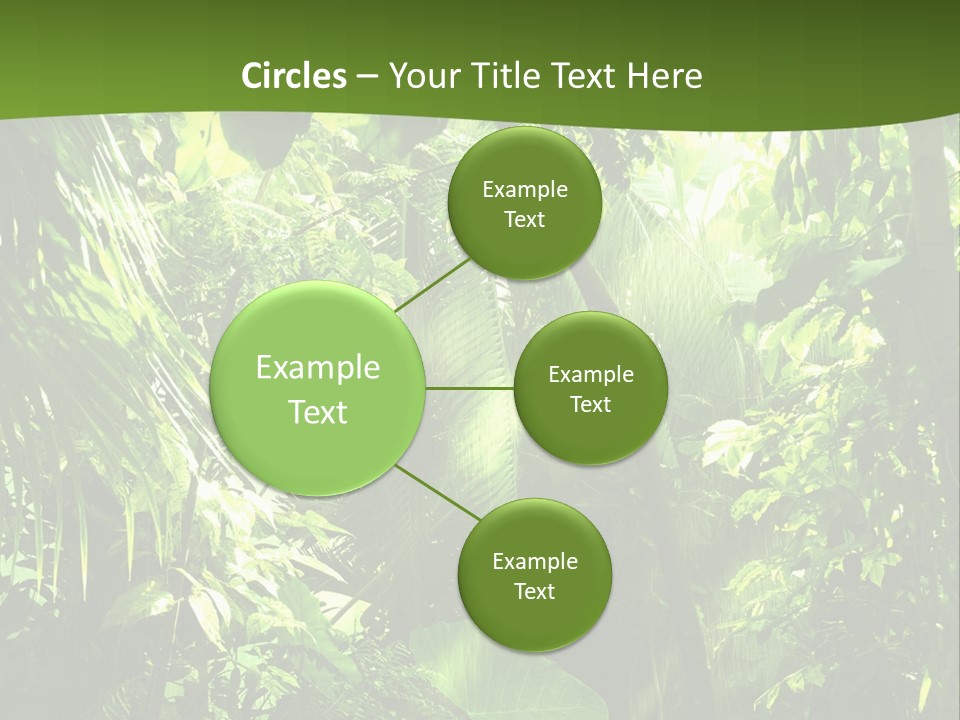 Retirement Ocean Mother PowerPoint Template