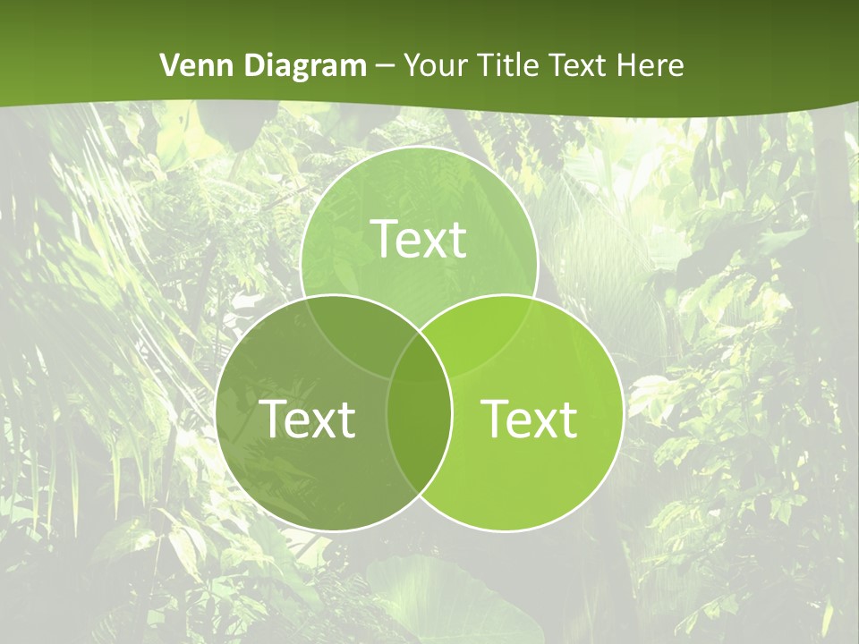 Retirement Ocean Mother PowerPoint Template