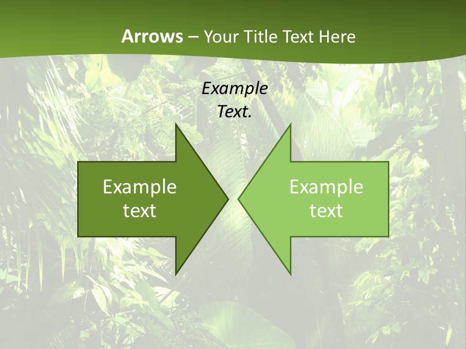 Retirement Ocean Mother PowerPoint Template