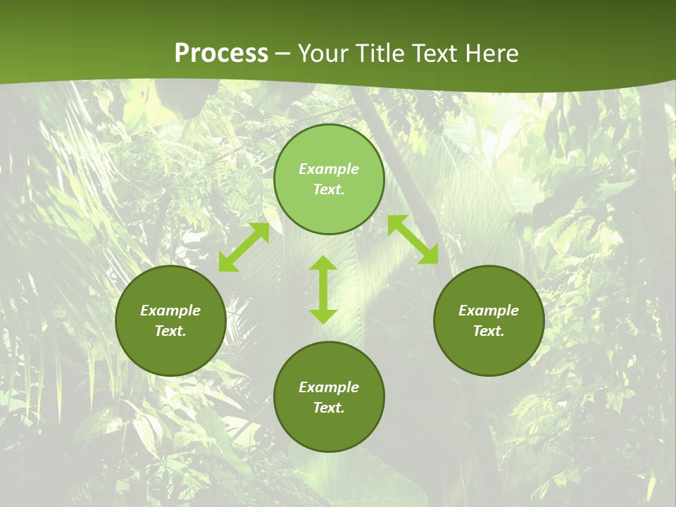 Retirement Ocean Mother PowerPoint Template