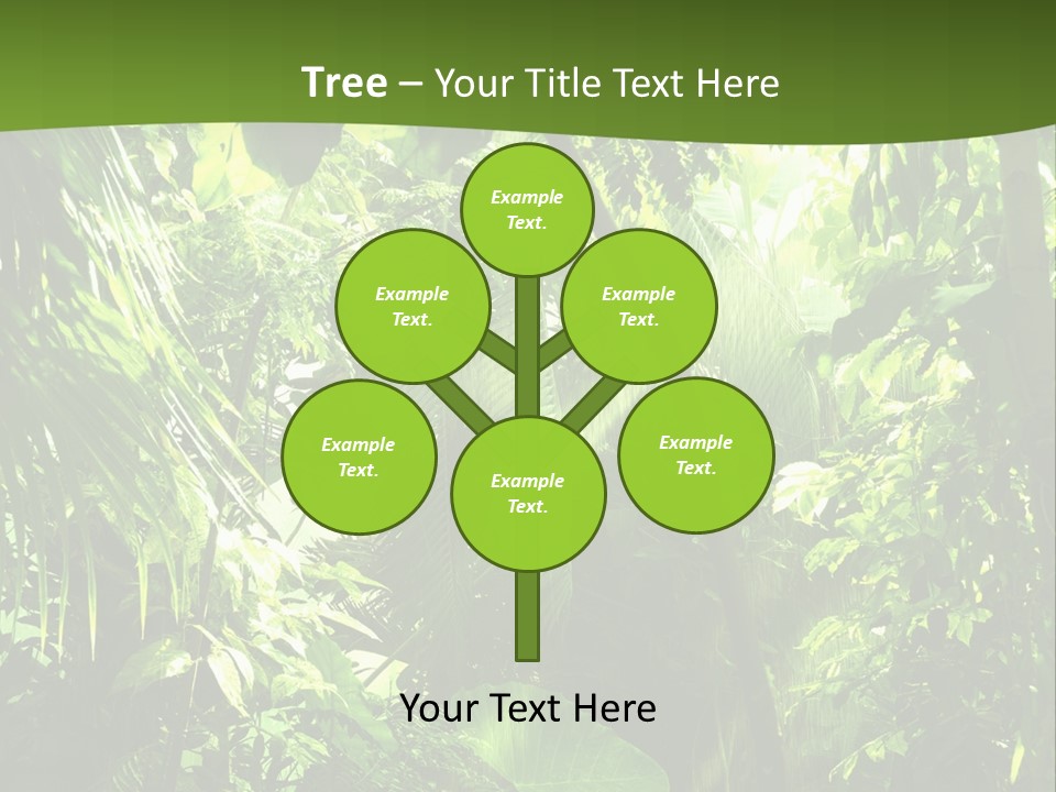 Retirement Ocean Mother PowerPoint Template