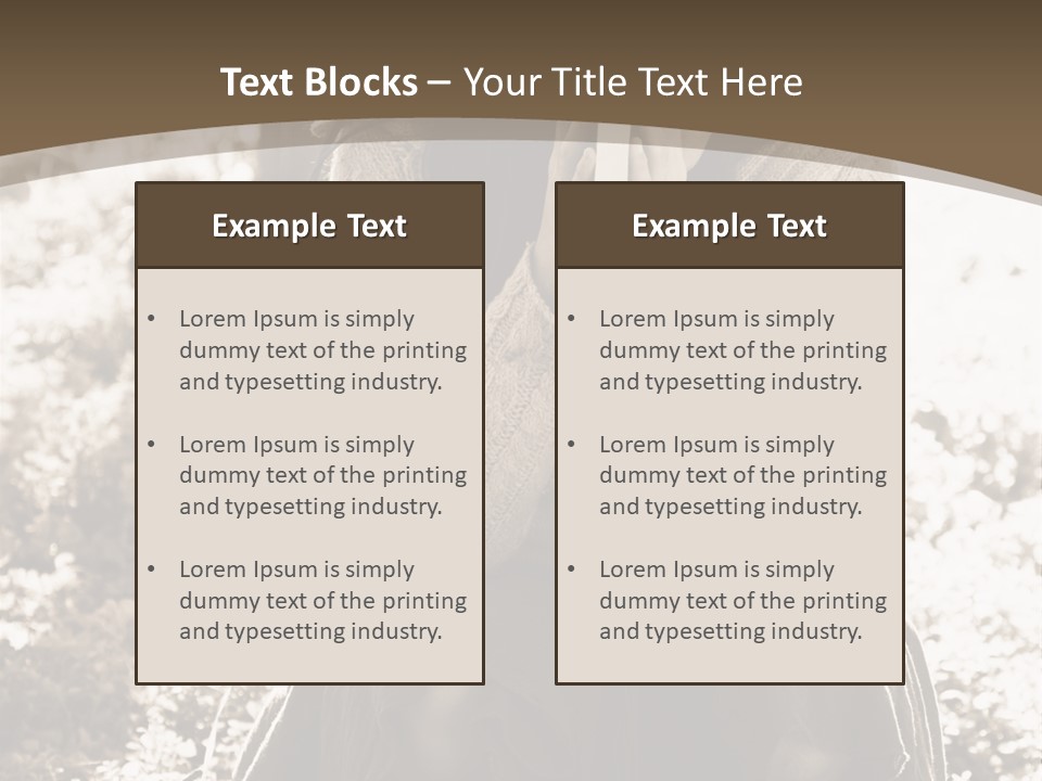 Retired Coast Sea PowerPoint Template