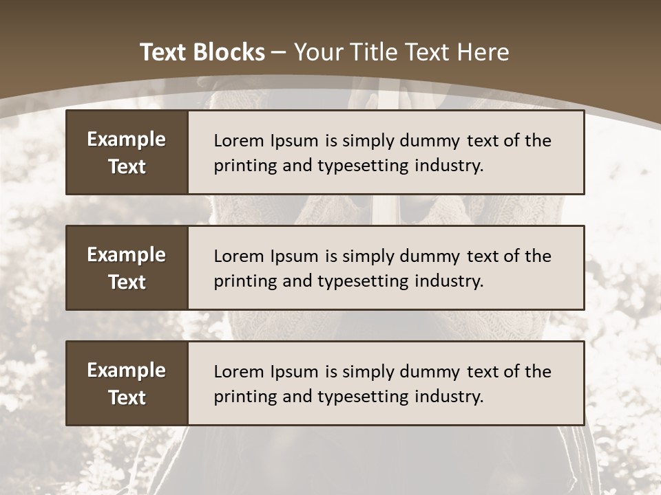 Retired Coast Sea PowerPoint Template