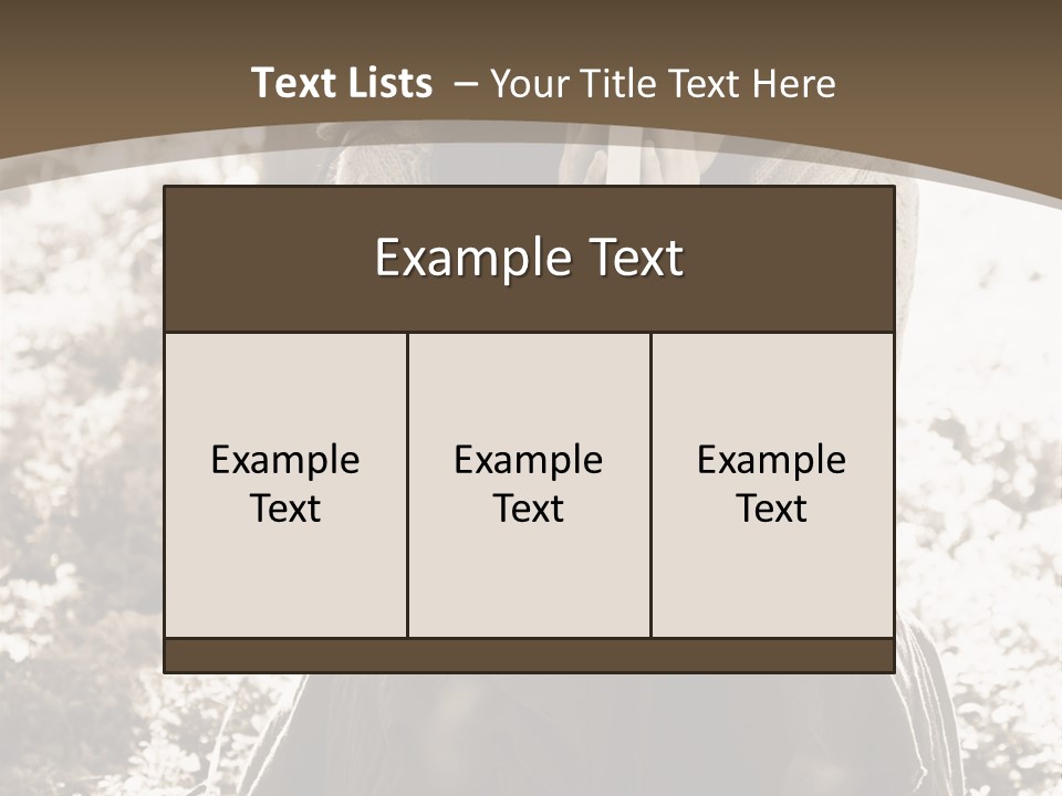 Retired Coast Sea PowerPoint Template