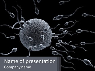 Mother Parent Coast PowerPoint Template