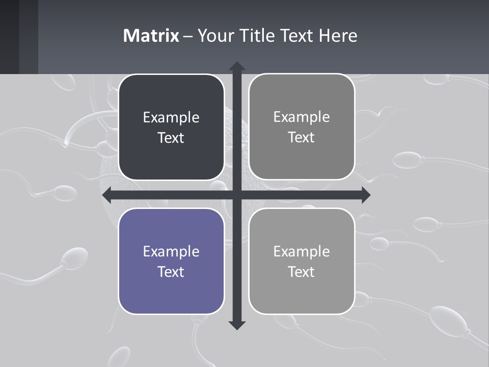 Mother Parent Coast PowerPoint Template