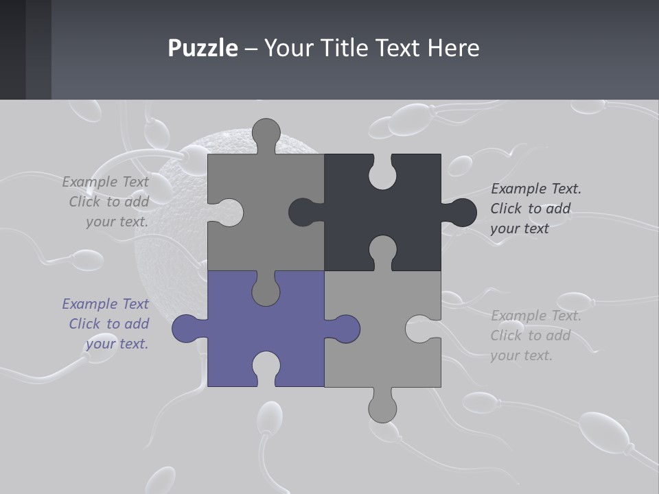 Mother Parent Coast PowerPoint Template