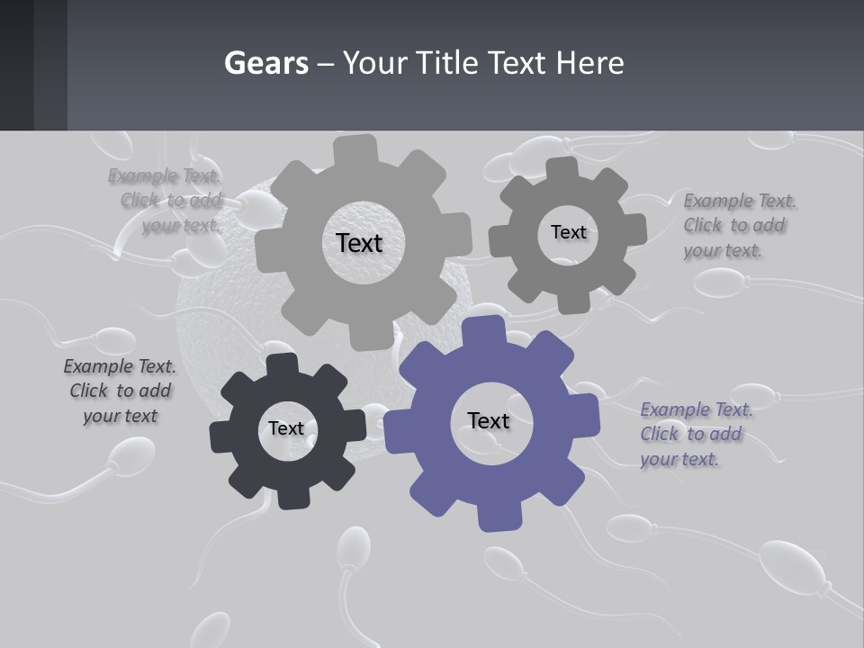 Mother Parent Coast PowerPoint Template