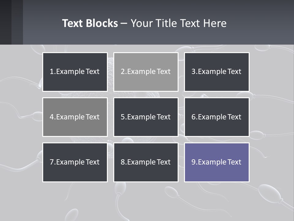 Mother Parent Coast PowerPoint Template