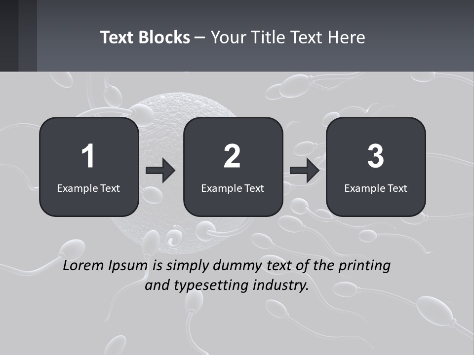 Mother Parent Coast PowerPoint Template