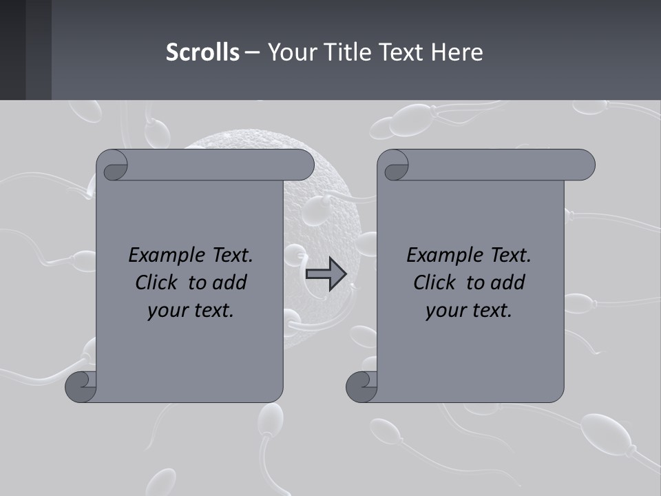 Mother Parent Coast PowerPoint Template