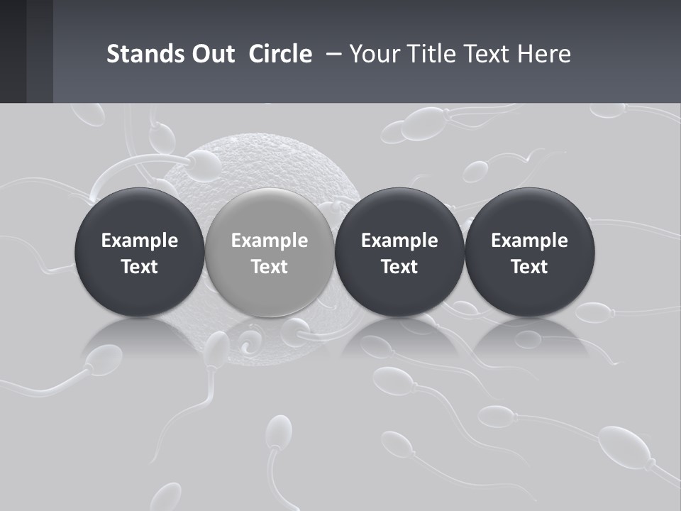 Mother Parent Coast PowerPoint Template