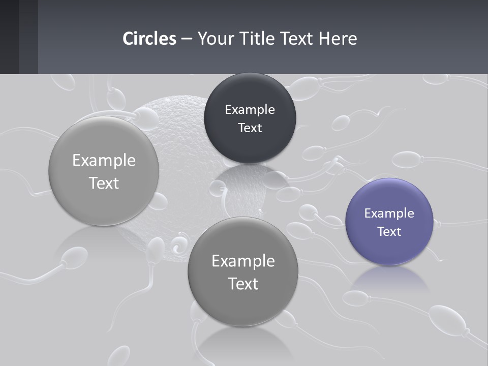 Mother Parent Coast PowerPoint Template