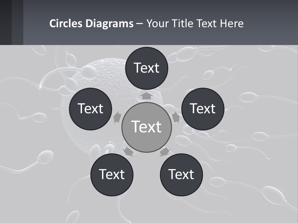 Mother Parent Coast PowerPoint Template