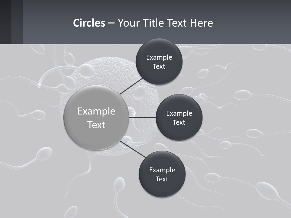 Mother Parent Coast PowerPoint Template