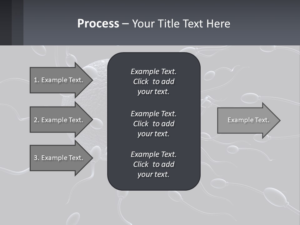 Mother Parent Coast PowerPoint Template