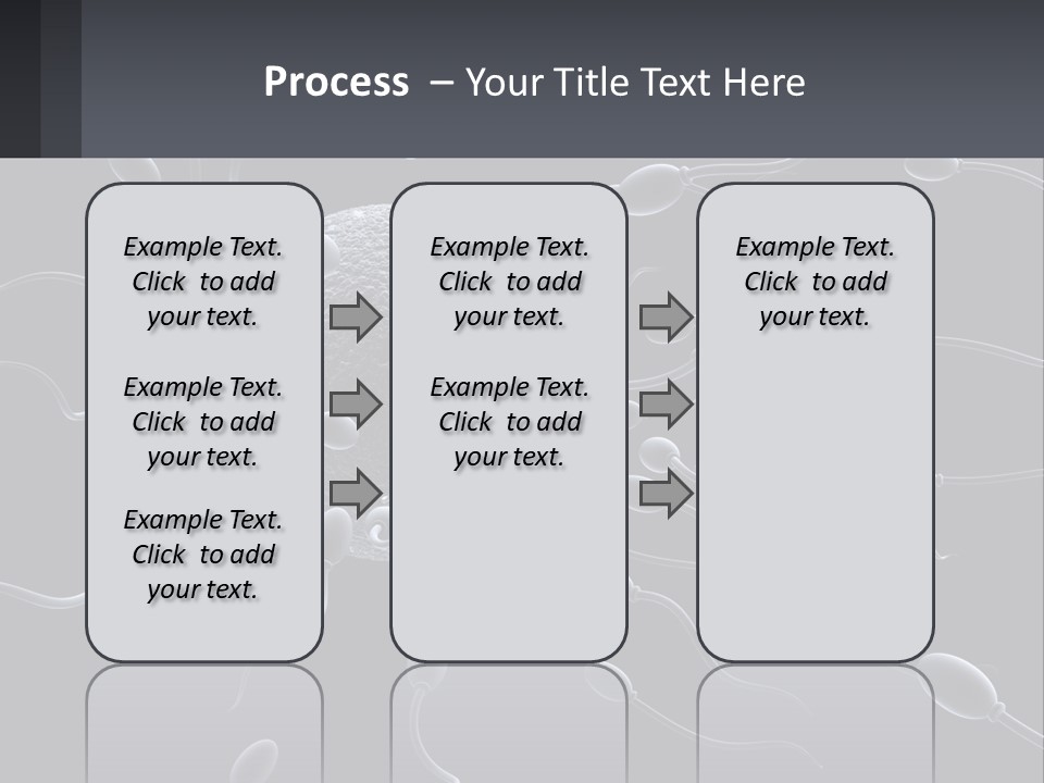 Mother Parent Coast PowerPoint Template