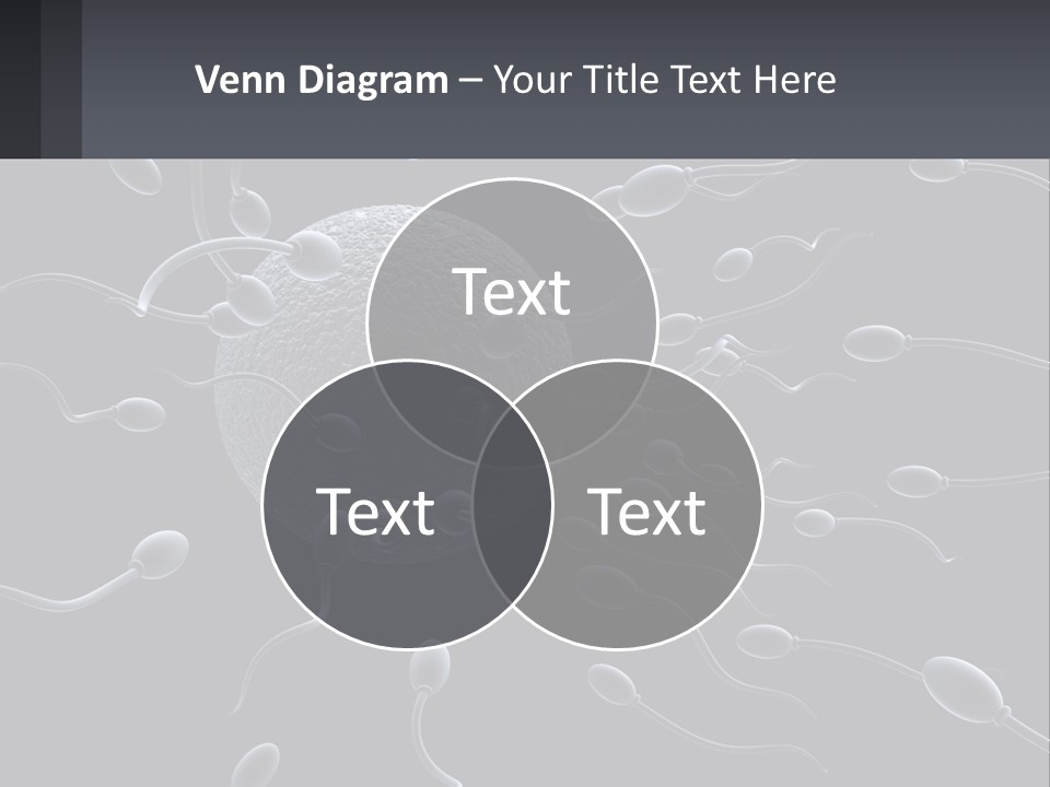 Mother Parent Coast PowerPoint Template